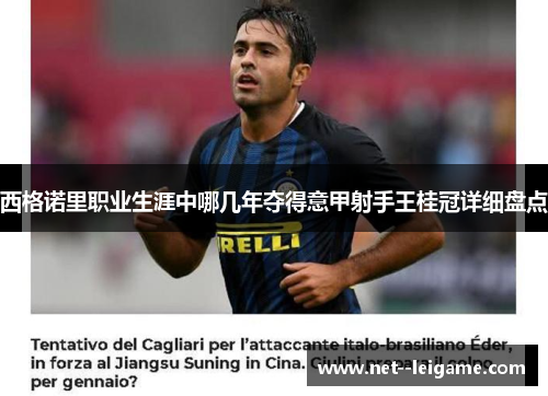 西格诺里职业生涯中哪几年夺得意甲射手王桂冠详细盘点